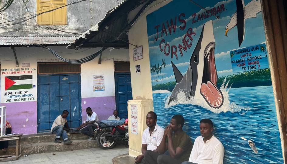SPICE FARM / SANDBANK / STONE TOWN