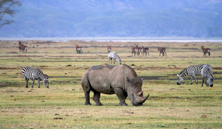 Ngorongoro National Park